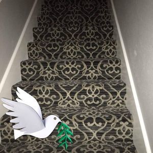 Meet your Posher, German